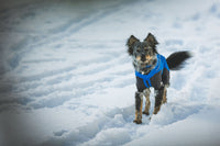 Ruffwear Vert™ Coverall Dog Snow Suit
